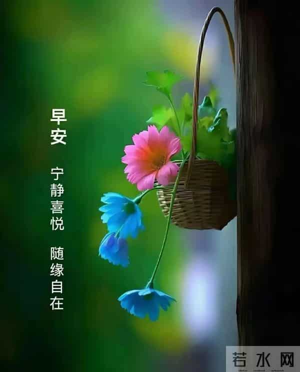 12月2日星期二早安祝福图片