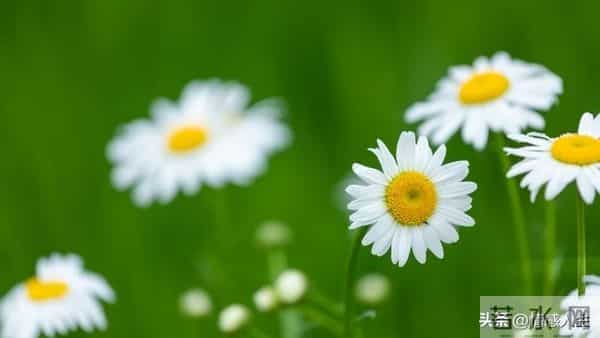 女人“好不好色”，从不看表面，这3个藏不住的表现，男人别不懂