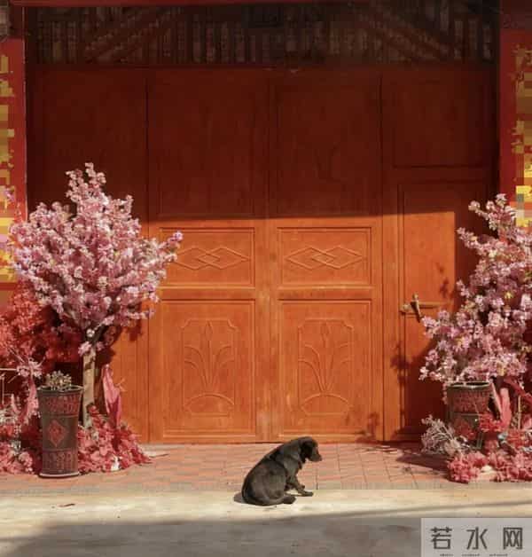 农村相亲实录：先看体检报告，再谈彩礼房子