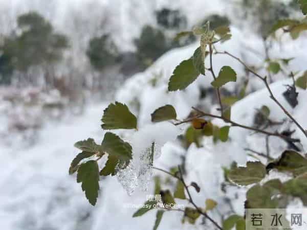 别再忍了！敢于冲突的人，反而更被尊重