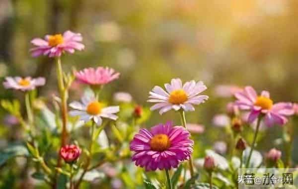 两性关系：男人过60岁，与女人相处牢记这3点，让生活甜如蜜