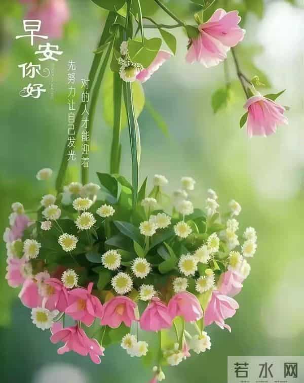 12月1日星期一早安祝福图片