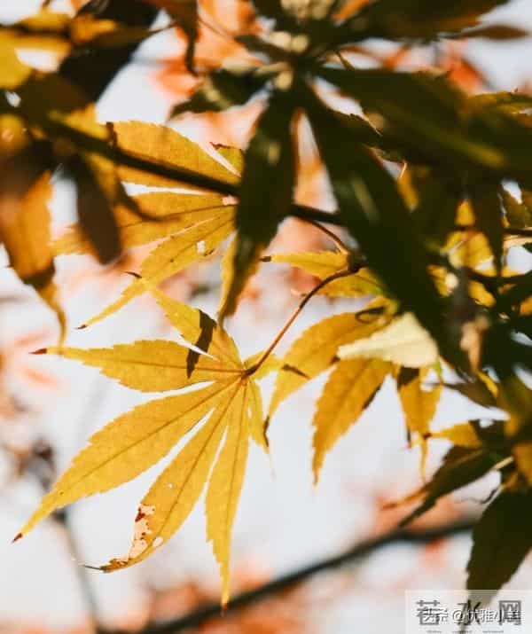 人到中年才顿悟：不论男女，只要有过一次背叛，晚年只剩两种活法