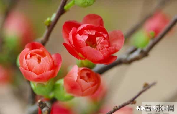 90%的情人走不到最后，不是因为没钱没性，而是少了这个关键字