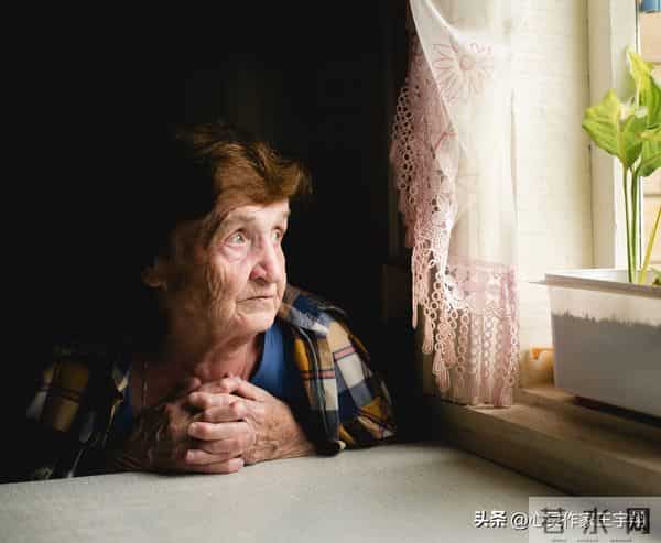 十二月启新：沉心反思藏力量，珍惜当下赴新程