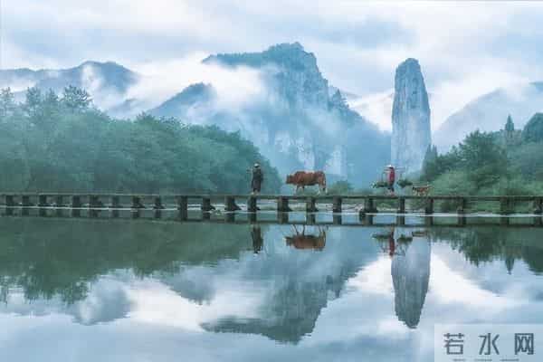 告诉你，允许一切发生，心便无所畏惧，活一天，便要开心一天。