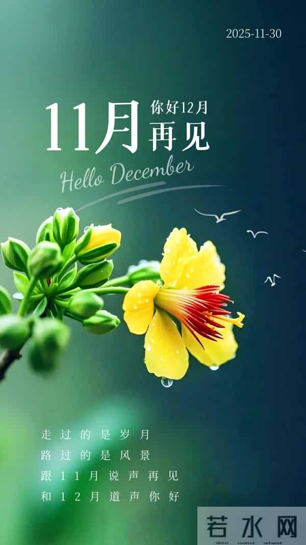 「2025.11.30」早安心语，11月再见，12月你好 - 过往不念 未来可期