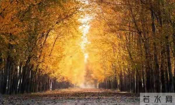 老天在帮你,别不信,翻身就在眼前