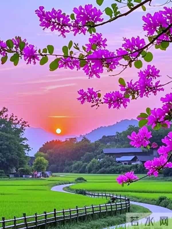 50后再婚，财产必须公证？过来人警告：爱情敌不过现实，别冒险！