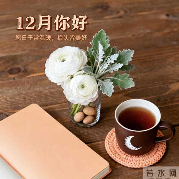 11月谢幕，12月登场！这20句暖心祝福，愿你年末收获满满！