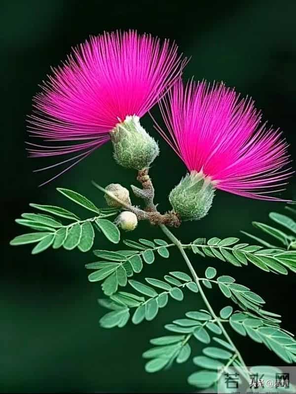 你的财运快递，今天送达，赶紧签收