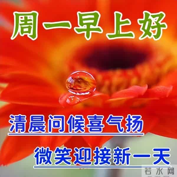 最新早安开心快乐短句子，经典正能量早上好句子，吉祥如意