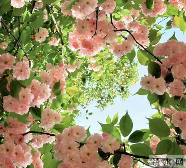 别为“消耗品朋友”折腾自己：学会在关系里留底气，人生通关秘籍