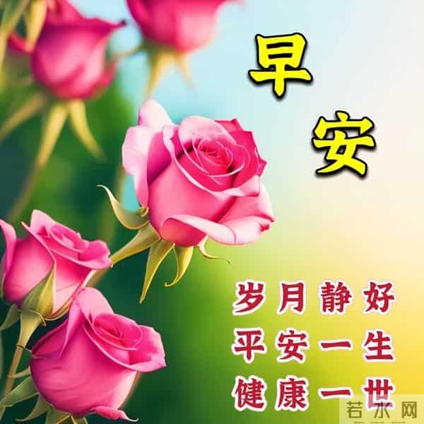 清晨寄语每日一句祝福，精辟早上好问候语，阳光灿烂，笑口常开