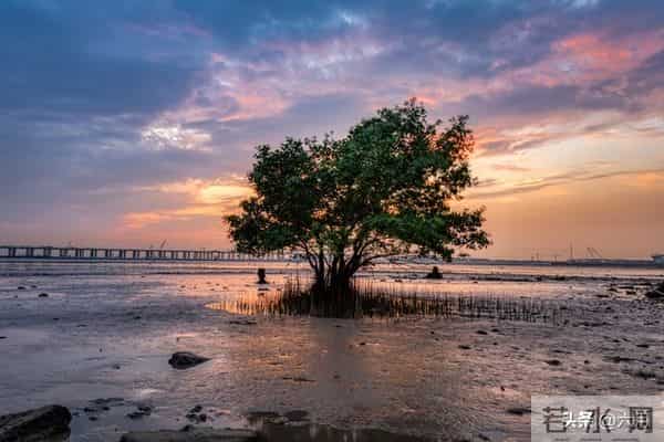 故事：婆媳关系（5）