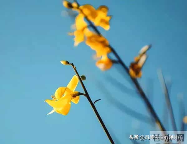 经历过背叛的婚姻：夫妻之间，只是“假性和解”