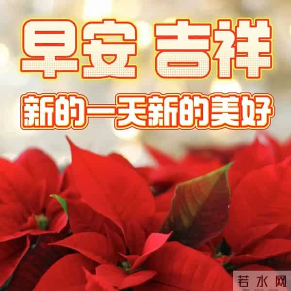 12月1日早上好 早安周一愉快 十二月你好 早安精美美图 愿好运常伴