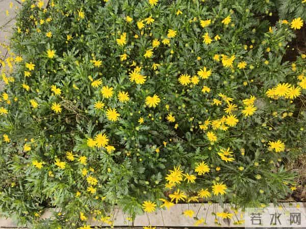 打压你的人，最后都会后悔，因为你并不是一个好惹且轻易认输的人