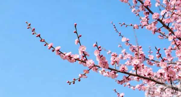 惊人发现，60岁与异性靠近，根本不是桃花运，而是这个