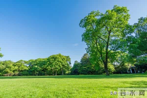 90年去相亲，姑娘见到我，当时就愣住了：你还记得我吗？