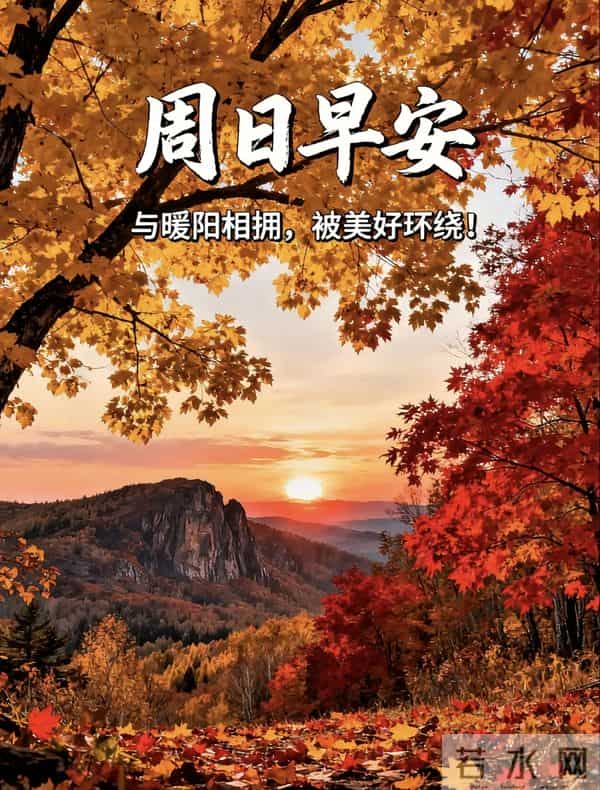 2025年11月30日周日早上好祝福语图片，最新温馨淡雅早安精美图片