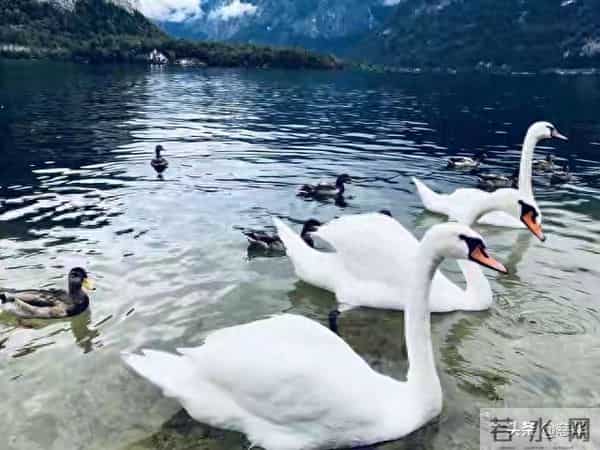 人间的饭吃一碗少一碗身边的人见一面少一面脚下的路走一天少一天