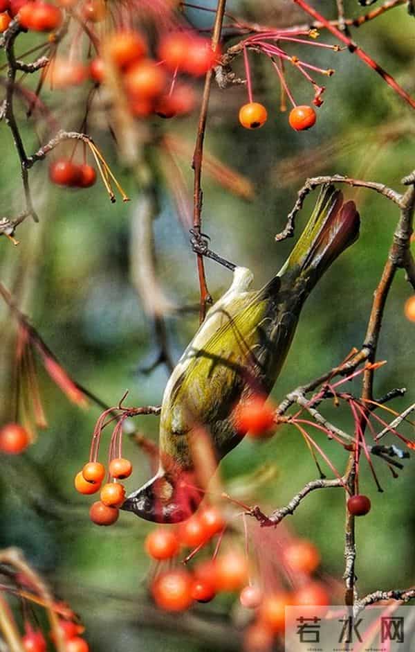 聪明的女人，发现男人不爱自己时，会这样处理