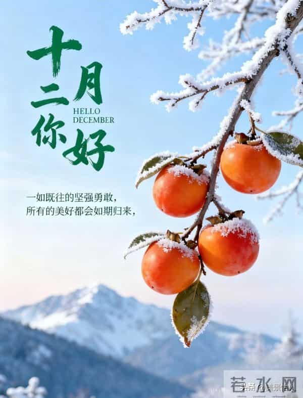 辞别十一月 迎来十二月新篇 愿日子清欢 万事顺意 前路皆有温柔期许