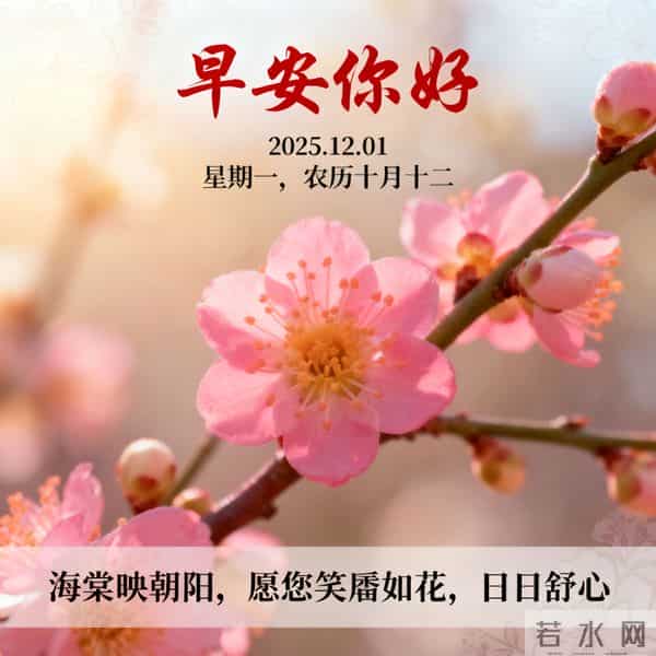 2025.12.01 十二月首日晨风寒 热粥暖胃启新程 早安奋斗好运连