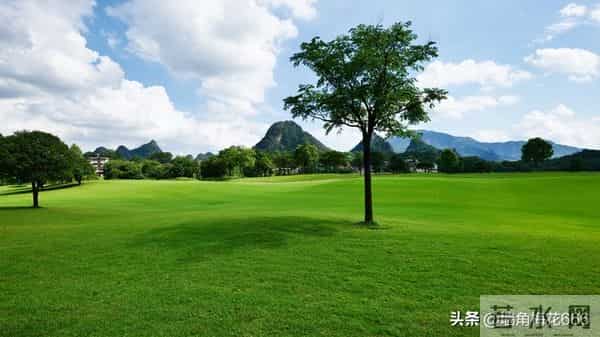 90年去相亲，姑娘见到我，当时就愣住了：你还记得我吗？