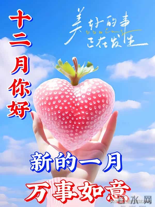 早安十二月！愿您这一年的付出，都在这最后的时光里绽放光芒！