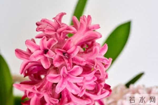 男人嫌弃你了，是有征兆的