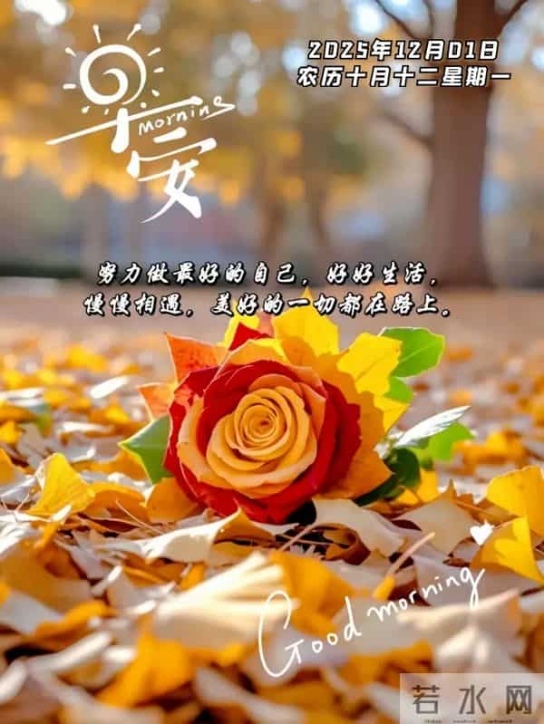 2025年12月1日早上好 十二月焕新 早安精美图片 周一早安 愿平安相伴