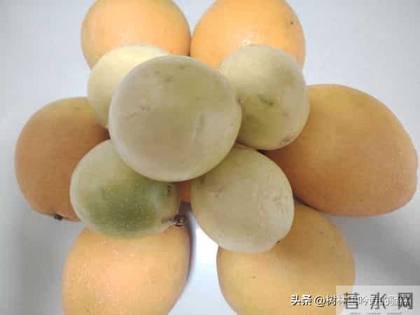 做人做到这个境界，才是真成功！ 太精辟了！