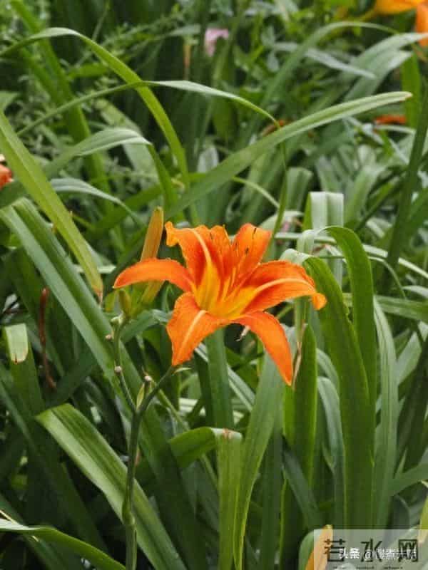 惊人揭秘：男人最爱女人的三大特质，性竟排不上号！