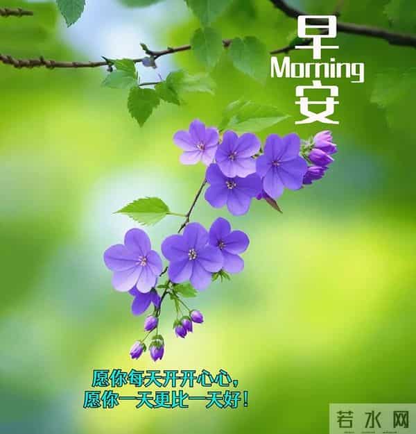 11月30日周日早上好 愿我们伴着不老的岁月 永远走在开心快乐的路上