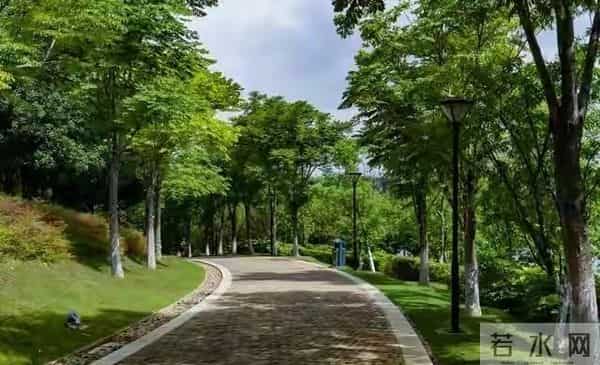 告诉你一个残酷的真相，父母存的钱，其实存的是孩子的选择权！