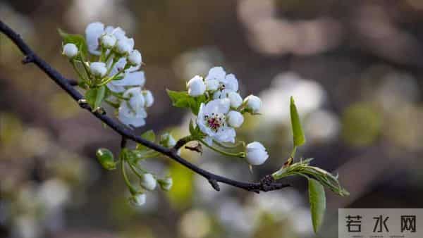 姑姐说我没把婆婆照顾好，退休亲自伺候婆婆，一周她说再也不管了