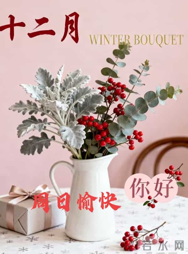 十一月再见 十二月你好愿你所到之处遍地阳光 愿你梦的远方温暖为向