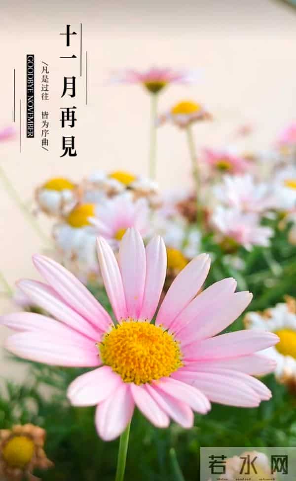 十一月再见十二月你好！