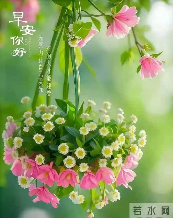 晨花伴早安，绿意裹新光