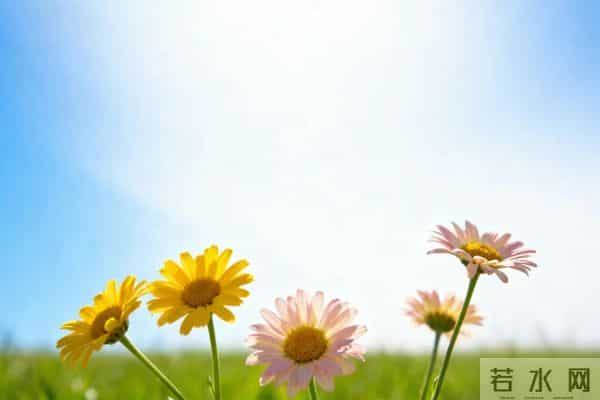 人最好的活法：烦心事，少想；别人事，少管