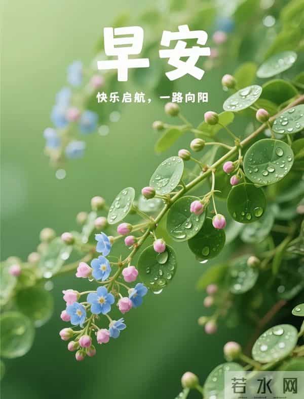 晨花伴早安，绿意裹新光
