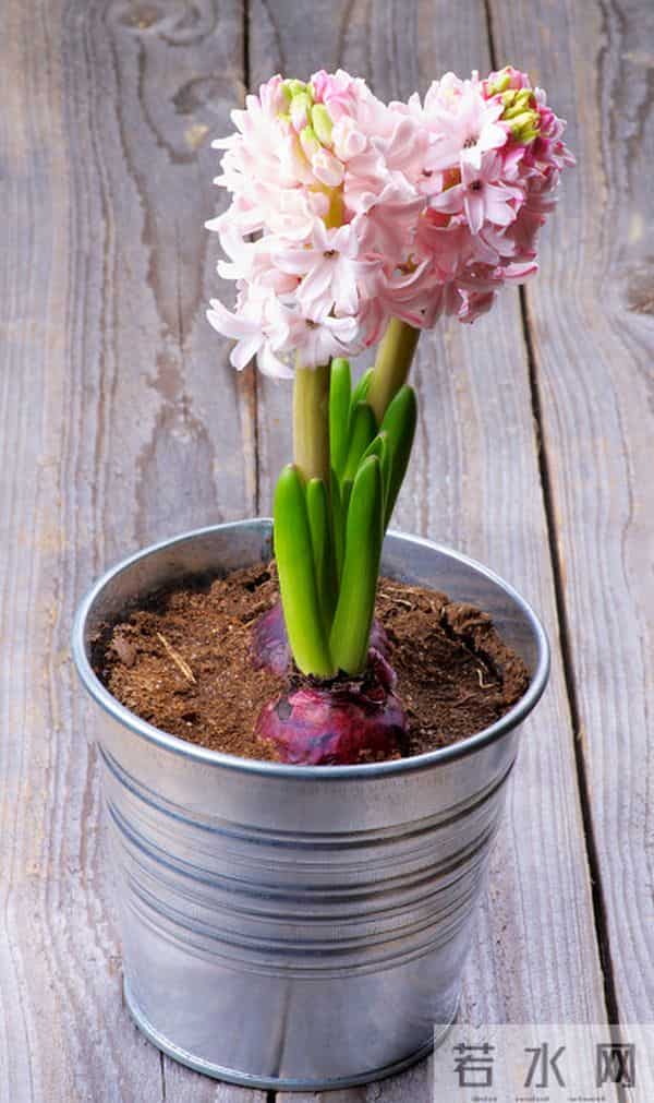 男人嫌弃你了，是有征兆的