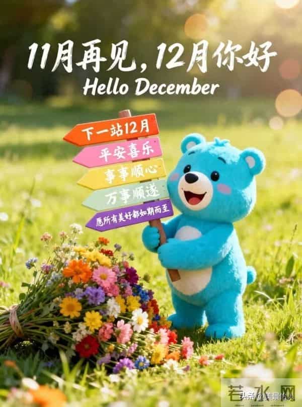 十二月你好，愿冬有暖阳，心有欢喜～