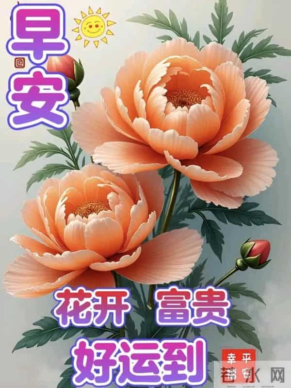 十二月你好 周一早安 12月1日温馨祝福 早安精美美图 愿平安喜乐