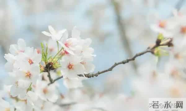 搞定中年女人，只靠这3个小动作，她会主动靠近你