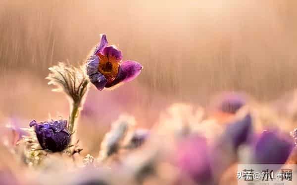 一个真相：大部分人的命，缺乏这3样东西，都不够硬