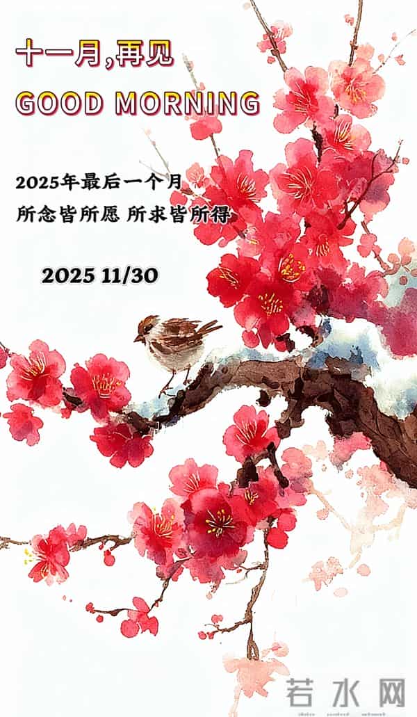 [2025.11.30]早安-十一月再见十二月你好 美好祝福语 祝您好运常伴