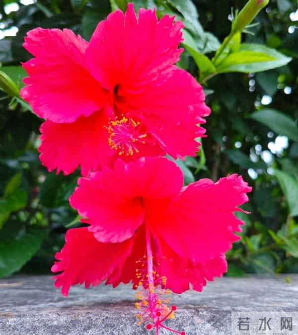 我和你约法三章，相爱不分手